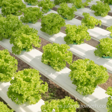 Sistema hidropónico vertical para plantar vegetales